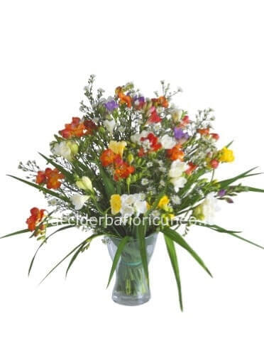 Bouquet di fresie ( medio )