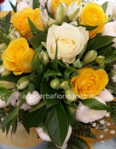 SCEGLIAMO INSIEME :Omaggio da concordare a telefono al nostro numero Tel .0171692720