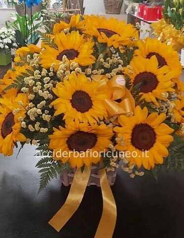 Cesto Solare .PRIMA DI ORDINARE CHIEDERE LA DISPONIBILITA' TEL.0171692720