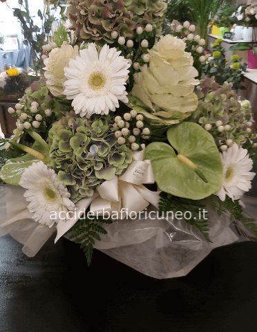 Composizione tonalità verde e bianca