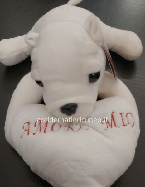 Cane con cuscino Amore Mio