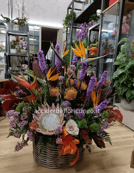 Composizione in spugna 