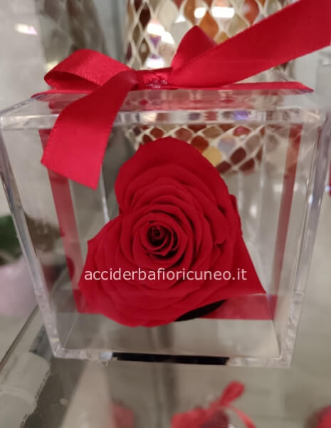 Rose Stabilizzate