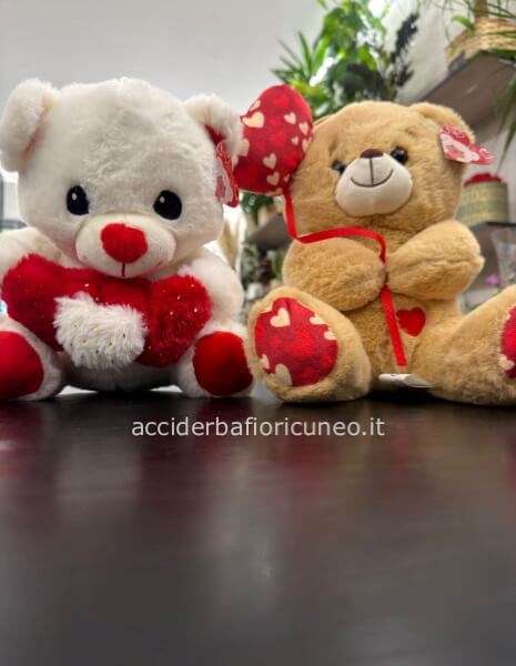 Teddy Bianco e Crema a scelta