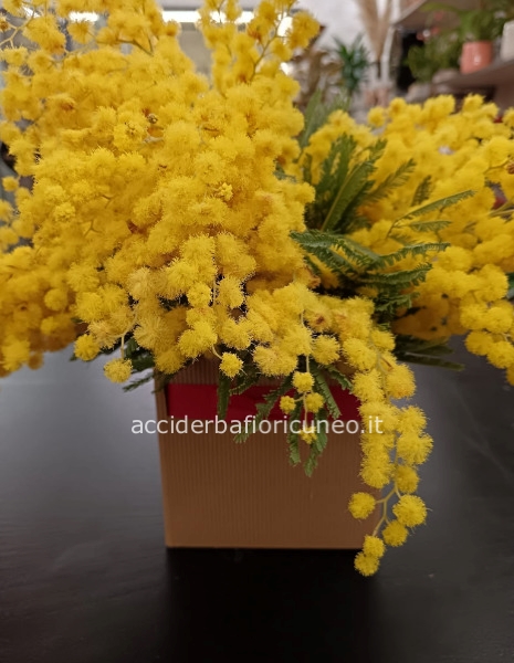 Cubottino Mimosa ( Composizione in spugna )